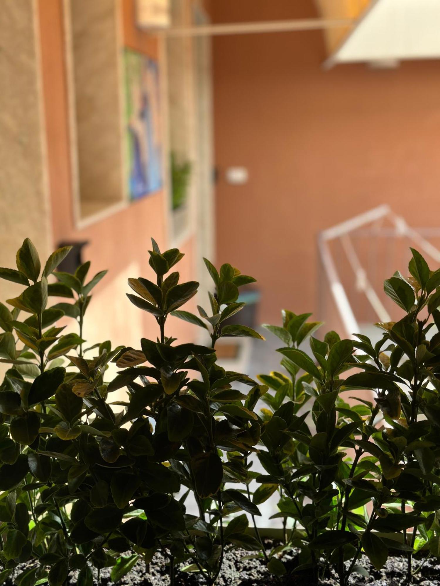 Le Camere Luxury Rooms Siracusa سيراكوزا المظهر الخارجي الصورة